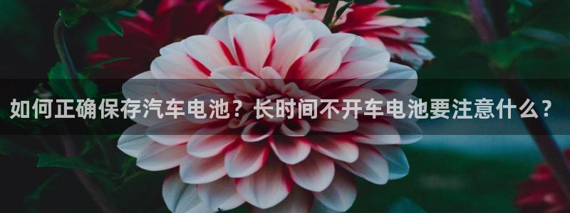 优发国际官网登录：如何正确保存汽车电池？长时间不开车电池要注意什么？