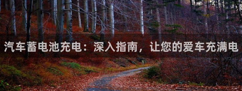 优发国际官方网手机版入口：汽车蓄电池充电：深入指南，让您的爱车充满电