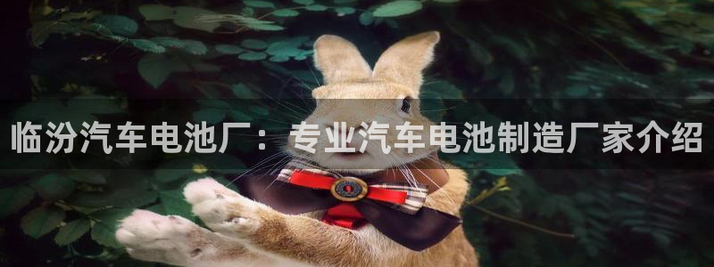 优发国际youfa：临汾汽车电池厂：专业汽车电池制造厂家介绍