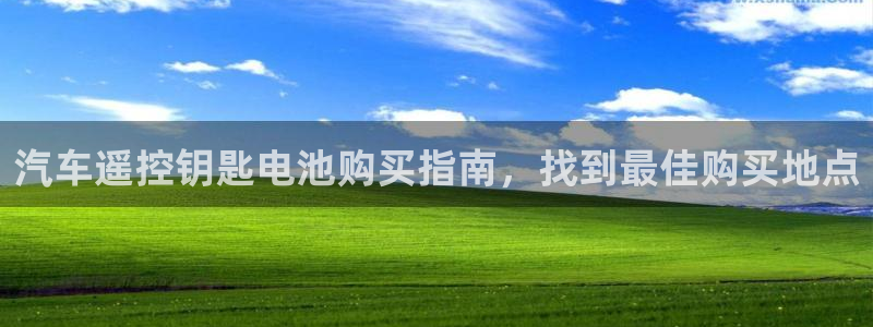 优发国际网页：汽车遥控钥匙电池购买指南，找到最佳购买地点