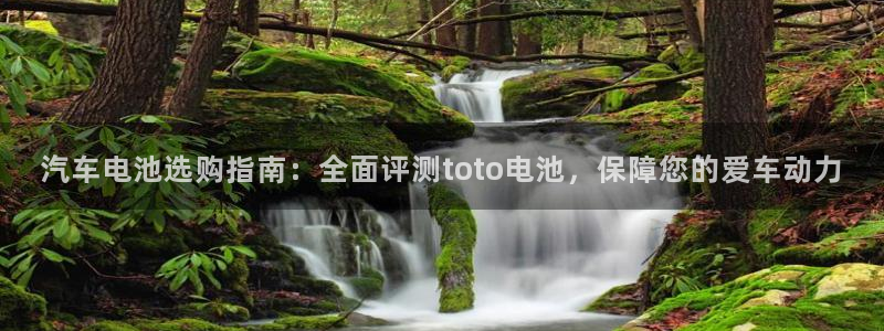 优发国际手机版客户端下载安装